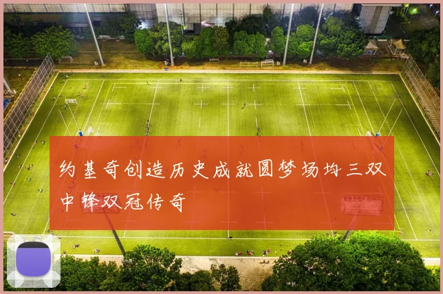 约基奇创造历史成就圆梦场均三双中锋双冠传奇